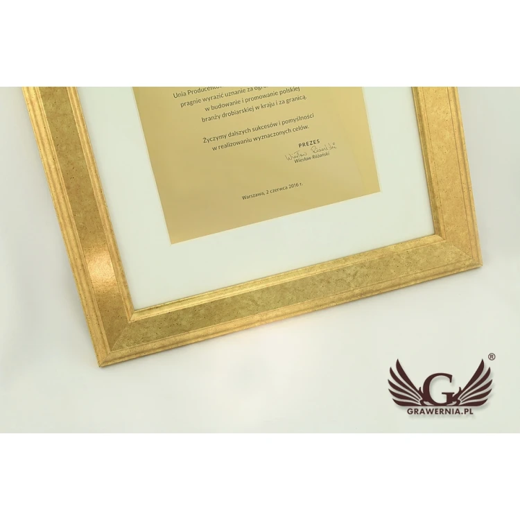 Golden diploma in a golden frame - horizontal or vertical - DWR1