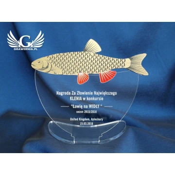 GOLDEN MAPLE - fishing competition trophy - model DTA23