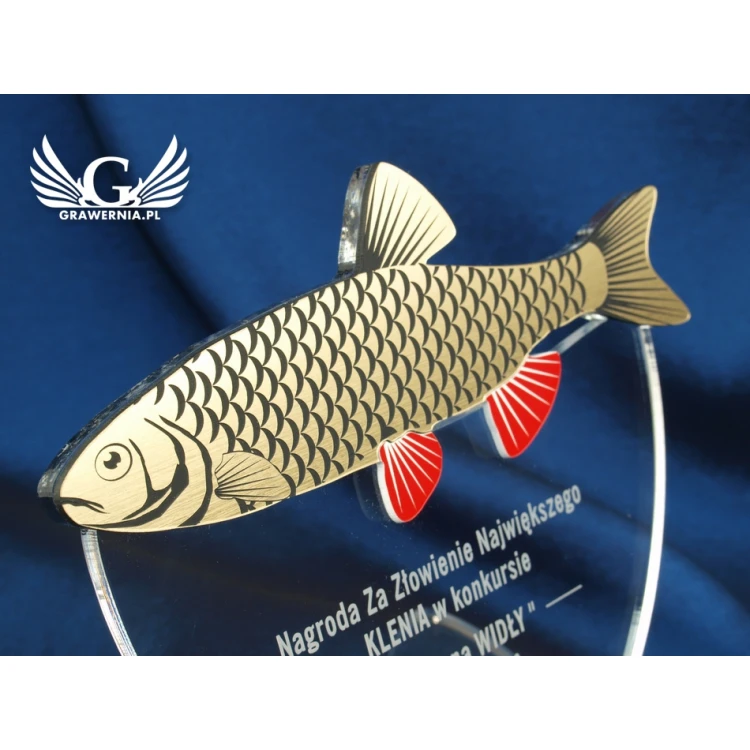 GOLDEN MAPLE - fishing competition trophy - model DTA23